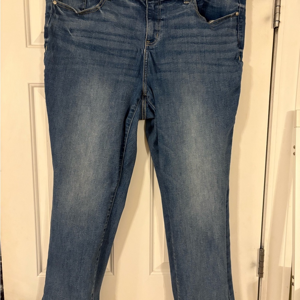 Lane Bryant Blue Ankle Jeans